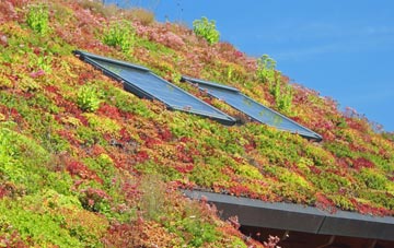 Stock Hill living roof systems